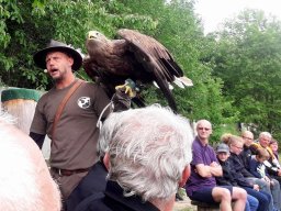 500 Treffen 2017 Tag2